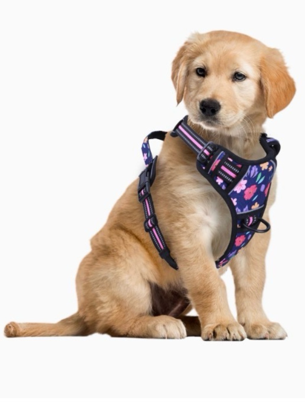Dog Harness